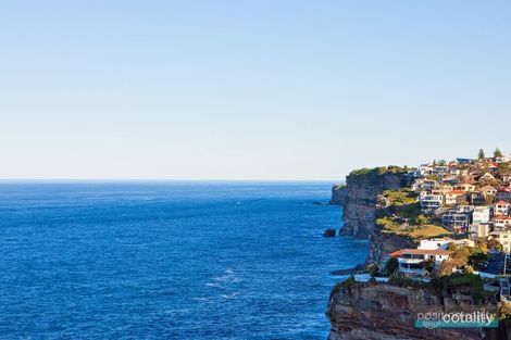 Property photo of 5/25-27 Macdonald Street Vaucluse NSW 2030