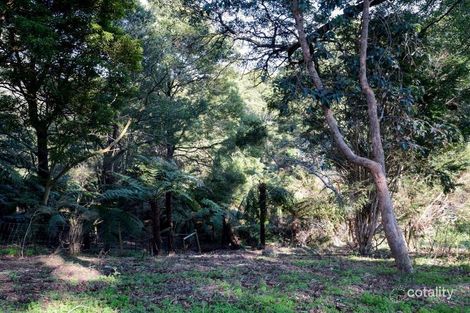 Property photo of 46 Surrey Road Warburton VIC 3799