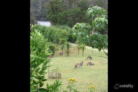 Property photo of 6 Anglers Drive Gipsy Point VIC 3891