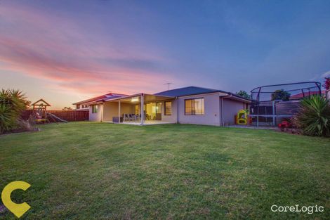 Property photo of 6 Fantail Crescent Mango Hill QLD 4509