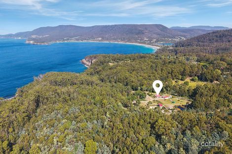 139 Pirates Bay Dr, Eaglehawk Neck, TAS 7179