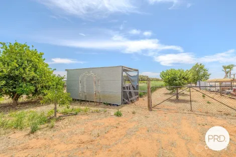 Property photo of 169 Euston Avenue Irymple VIC 3498