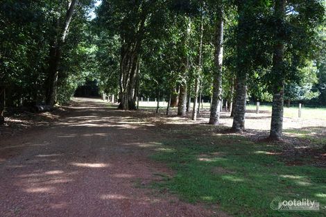 100 Arthur Baillie Rd, Ravenshoe, QLD 4888