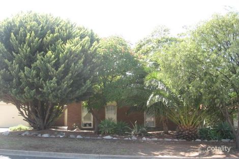 5 Phoebe Ave, Modbury Heights, SA 5092