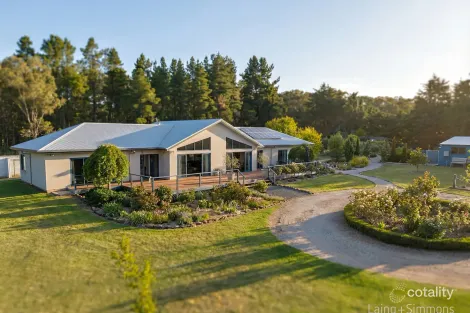 Property photo of 33 Yellowbox Drive Saumarez Ponds NSW 2350