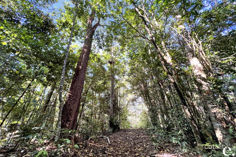 Property photo of 249 Lloyd Road Barrine QLD 4872