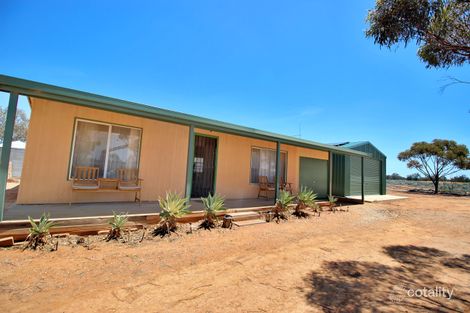 Property photo of 468 Ring Road Morgan SA 5320