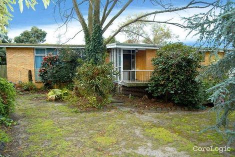 Property photo of 7 Campbell Street Glen Waverley VIC 3150