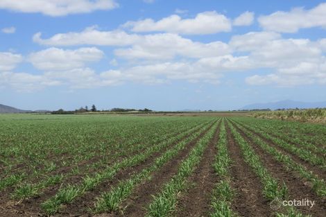 78 Liebrecht Rd, Airville, QLD 4807