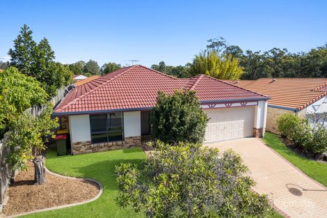 Property photo of 7 Livingstone Place Kuraby QLD 4112