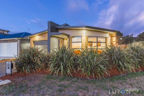 Property photo of 11 Laird Crescent Forde ACT 2914