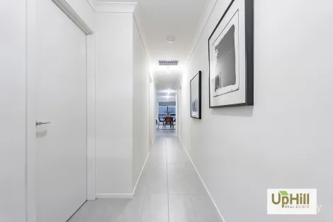 Property photo of 11 Wooli Avenue Clyde VIC 3978