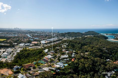 Property photo of 61 Skyline Terrace Burleigh Heads QLD 4220