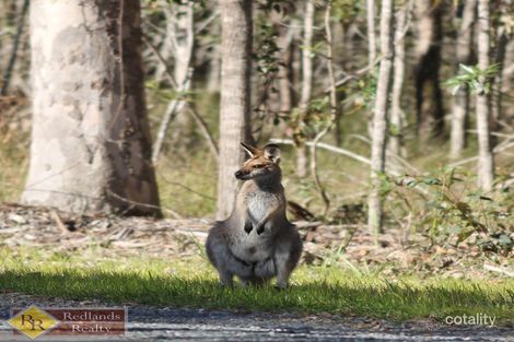Property photo of 108-110 Starlight Court Carbrook QLD 4130