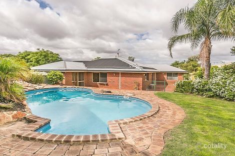 19 Ellis Gr, Woodvale, WA 6026