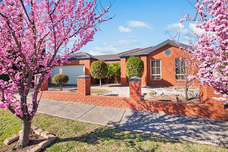 Property photo of 10 Glenbrook Crescent Lynbrook VIC 3975
