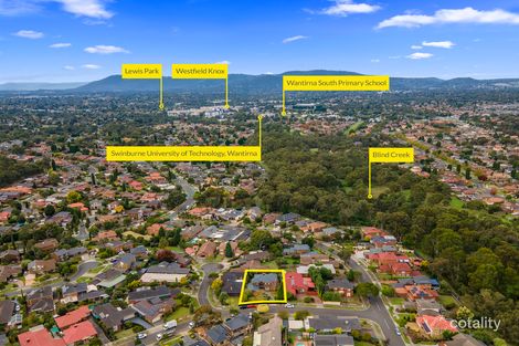 Property photo of 17 Dayan Drive Wantirna South VIC 3152