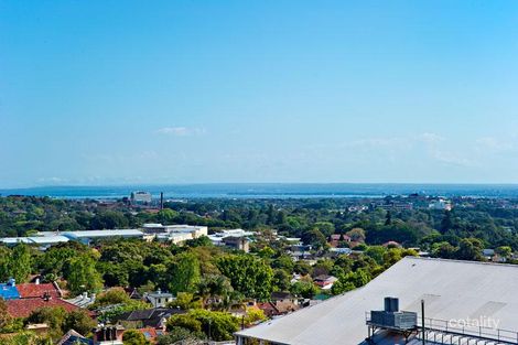 Property photo of 408/80 Ebley Street Bondi Junction NSW 2022