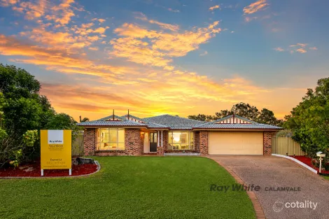 Property photo of 8 Alpinia Place Calamvale QLD 4116