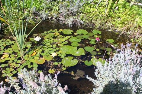 Property photo of 22 Carlisle Street Shoalwater WA 6169