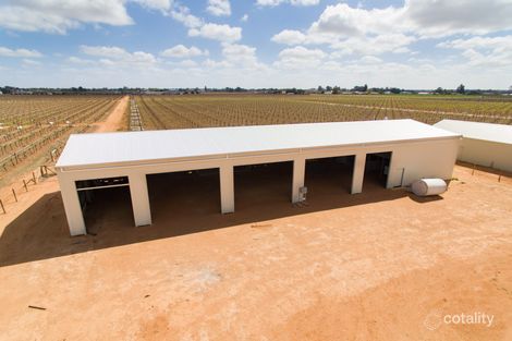 Property photo of 72 Dewry Avenue Irymple VIC 3498