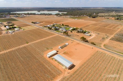 Property photo of 72 Dewry Avenue Irymple VIC 3498