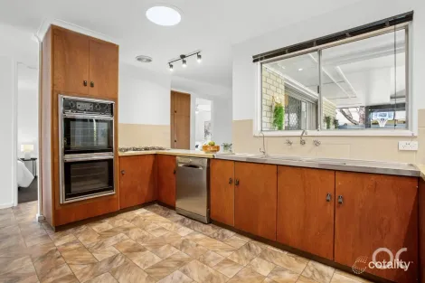 Property photo of 19 Casuarina Avenue Surrey Downs SA 5126