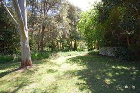Property photo of 117 The Round Drive Avoca Beach NSW 2251