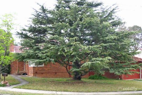 Property photo of 24 Morvan Street West Ryde NSW 2114
