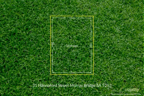 31A HANNAFORD ST, MURRAY BRIDGE, SA 5253