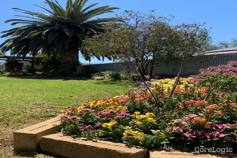 103 Wollamai St, Finley, NSW 2713