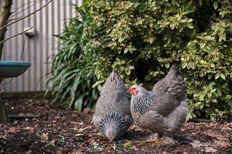 Property photo of 677 McIvor Highway Junortoun VIC 3551