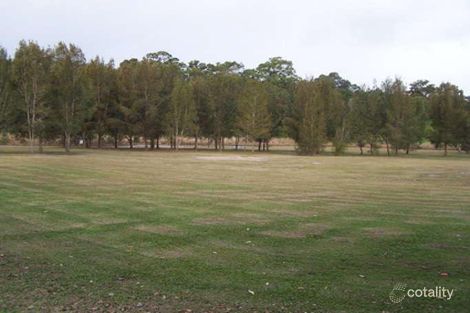 40 Ottelia Dr, Elanora, QLD 4221