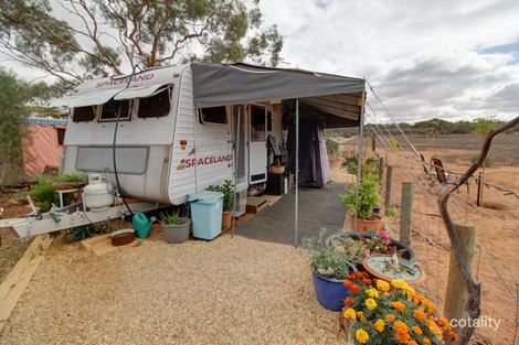 Property photo of 20 Rawnsley Road Loveday SA 5345