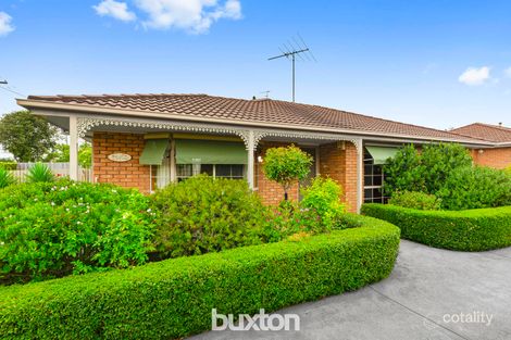 6/133 Aberdeen St, Newtown, VIC 3220