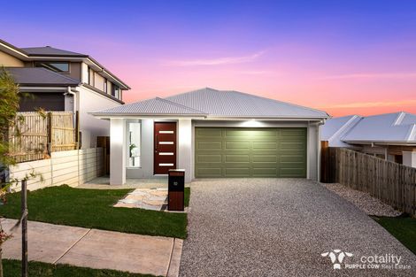 Property photo of 10 Alberg Street Spring Mountain QLD 4300