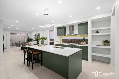 Property photo of 10 Alberg Street Spring Mountain QLD 4300