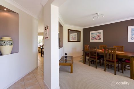 Property photo of 66 Mountain Ash Drive Mountain Creek QLD 4557