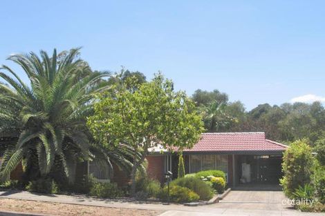 49 Solandra Cres, Modbury North, SA 5092