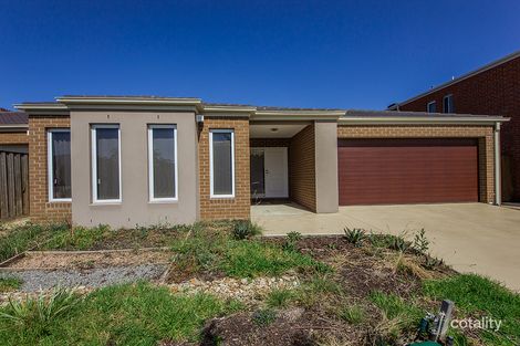 16 Hanworth Ave, Williams Landing, VIC 3027