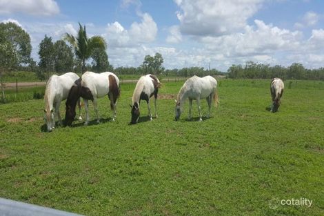 20 Mulgara Rd, Berry Springs, NT 0838