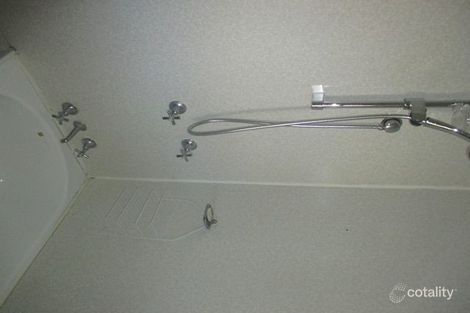 Property photo of 50 May Street Wallumbilla QLD 4428