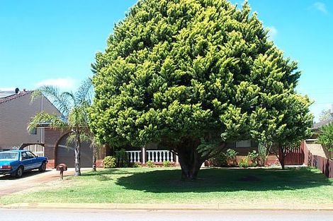 31 Oriole St, Stirling, WA 6021