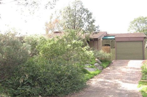 Property photo of 19 De Castella Avenue Wynn Vale SA 5127