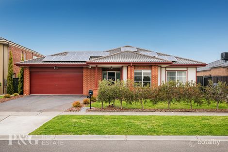 Property photo of 11 Aspera Place Cranbourne North VIC 3977