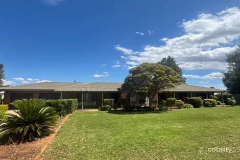 Property photo of 21 Roper Avenue Renmark West SA 5341