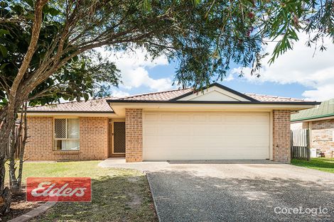 Property photo of 17 Faculty Circuit Meadowbrook QLD 4131