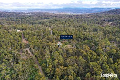 120 Pipers River Rd, Turners Marsh, TAS 7267