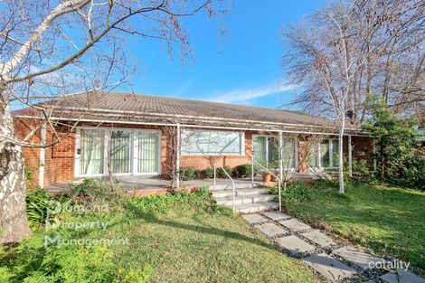 Property photo of 31 Hazel Street Camberwell VIC 3124