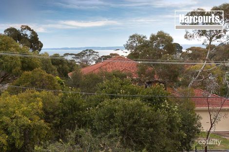 Property photo of 11 Belvedere Road Somers VIC 3927